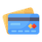 Credit Card Icon